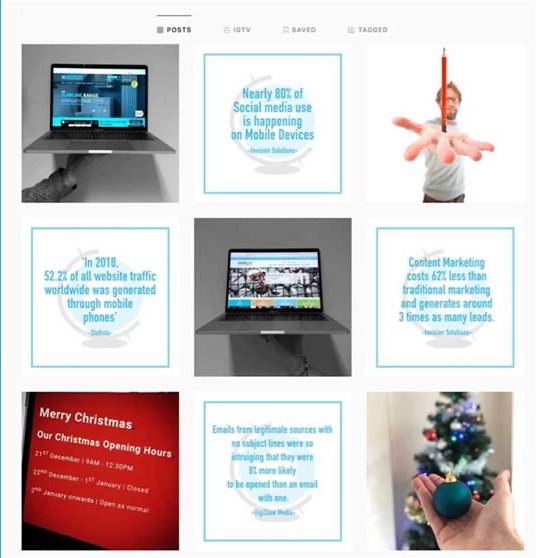 website success theme
