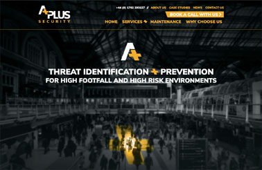 A Plus Security